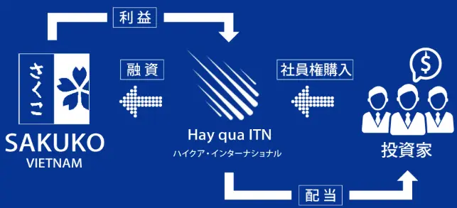 ハイクア・インターナショナルの投資モデル