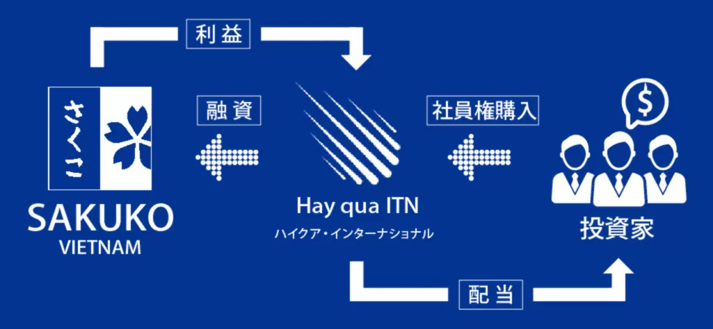 ハイクアインターナショナル構造