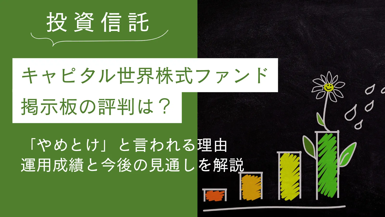 キャピタル世界株式ファンドの評判