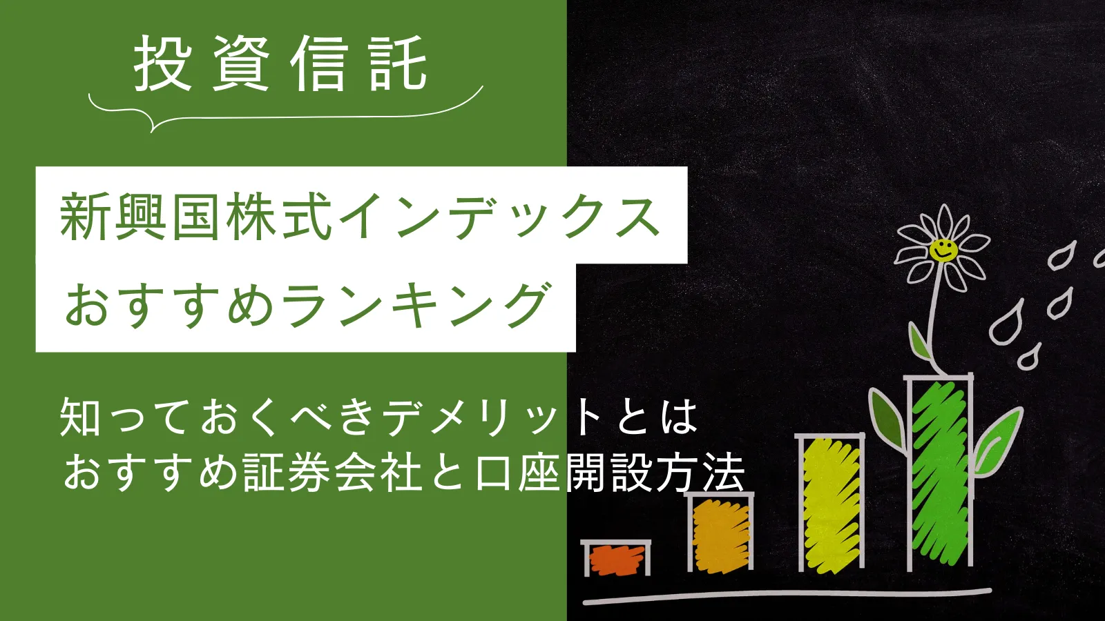 新興国株式インデックスおすすめランキング