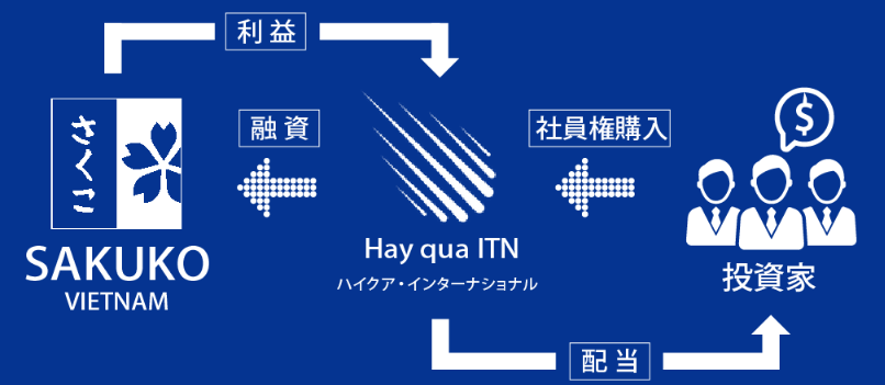ハイクア・インターナショナルの投資モデル