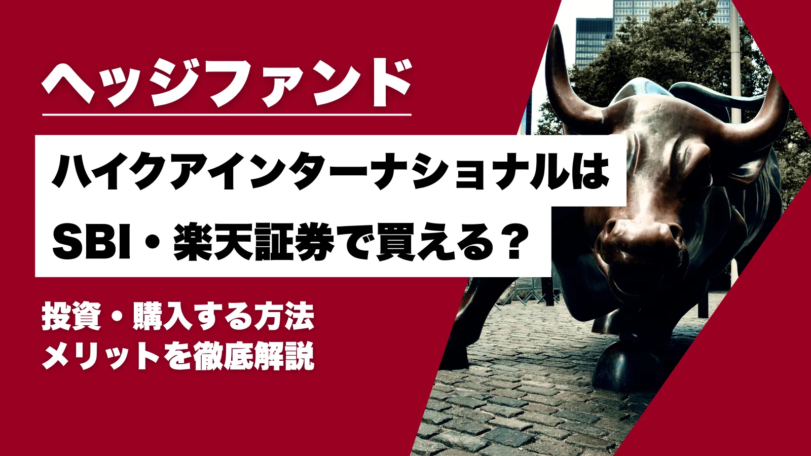 ハイクアインターナショナルはSBI証券・楽天証券で買える？実際の投資方法とメリットを徹底解説