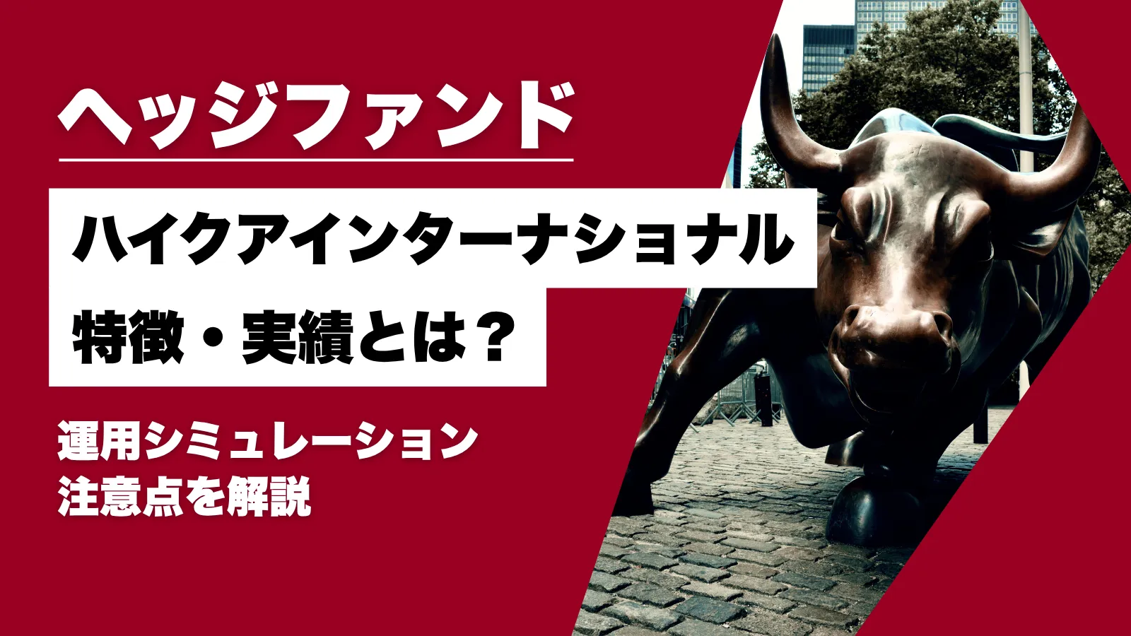 ハイクアインターナショナルの特徴・実績